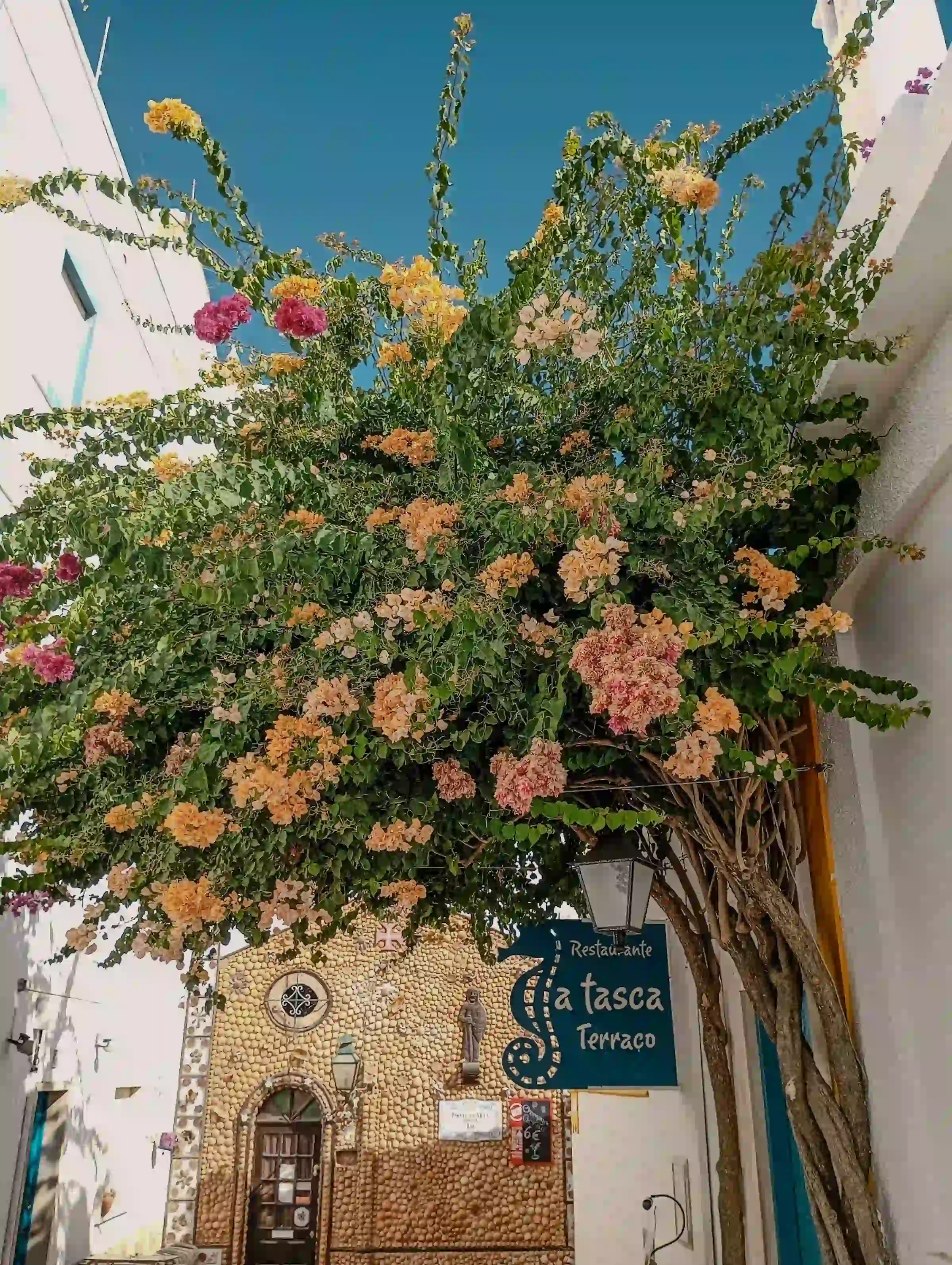 Patio andalou fleuri